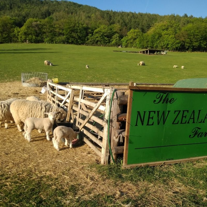 Farma New Zealand