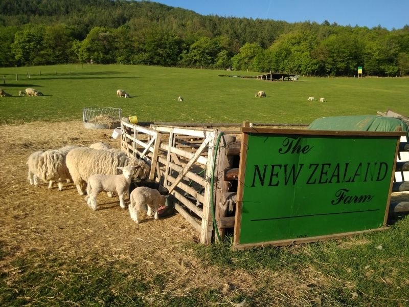 Farma New Zealand - hlavná fotka